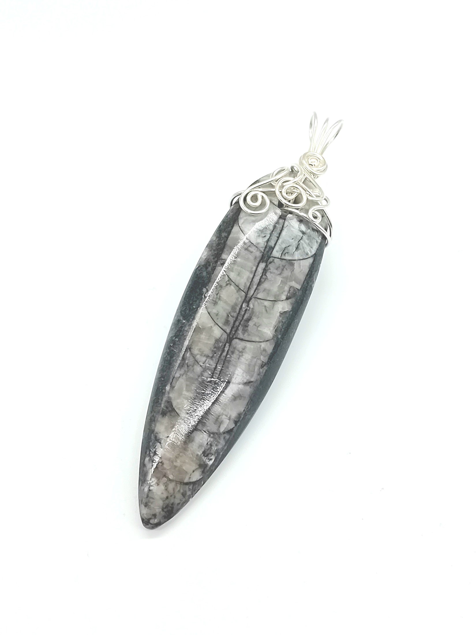 Anhänger aus Fossil Orthoceras 925 Silber