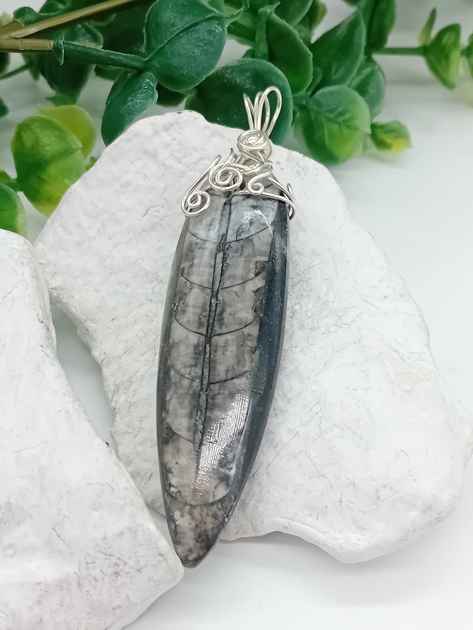 Anhänger aus Fossil Orthoceras 925 Silber – Bild 3